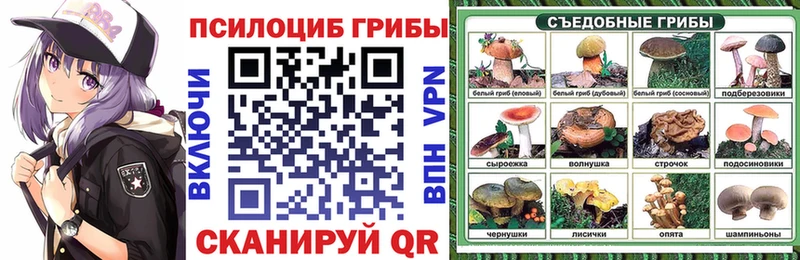 kraken маркетплейс магазин наркотиков Салават Псилоцибиновые грибы прущие грибы